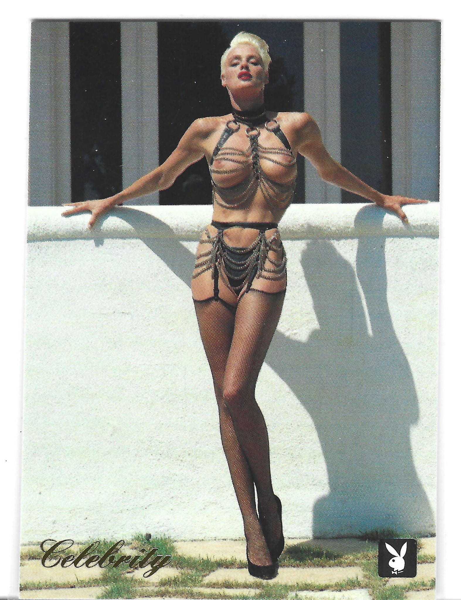 Playboy April Edition Brigitte Nielsen Gold Foil Celebrity Card #3BN