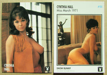 Load image into Gallery viewer, 053 cynthia hall snow bunny 1971
