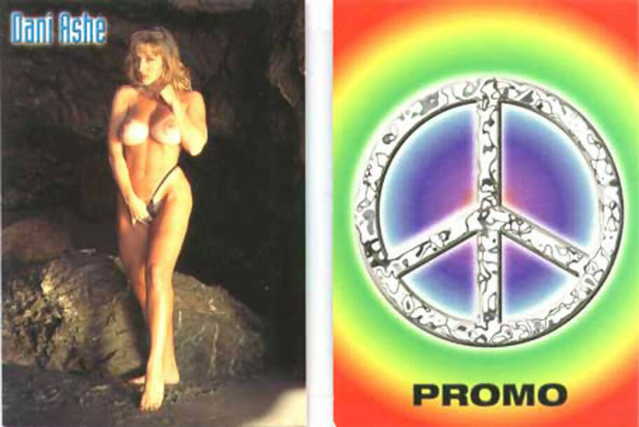 Dani Ashe promo card [Silver Star Productions]