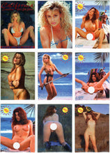 Load image into Gallery viewer, California Sunshine Girls Elite Ed - set [25 cards total]
