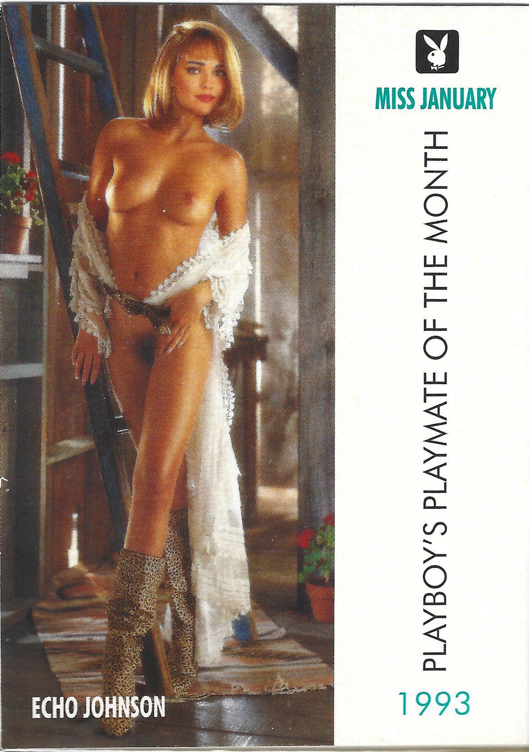 Playboy January Edition Echo Johnson Card #120