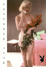 Load image into Gallery viewer, Playboy Centerfolds of the Century #92 Elsa Sorensen
