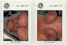 Load image into Gallery viewer, Hot Shots - series &#39;00 - Bunny Luv subset lot [2 cards]

