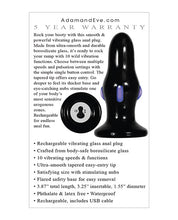 Load image into Gallery viewer, Rear Rocker Vibrating Anal Plug
