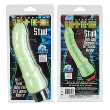 Load image into Gallery viewer, Stud Mint Glow In The Dark W-p
