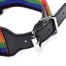 Load image into Gallery viewer, Master Series Kinky Pride Rainbow Bondage Set
