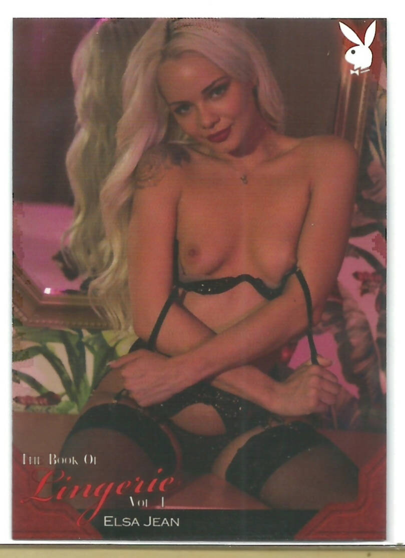 Playboy's Book of Lingerie Volume 1 Elsa Jean #40