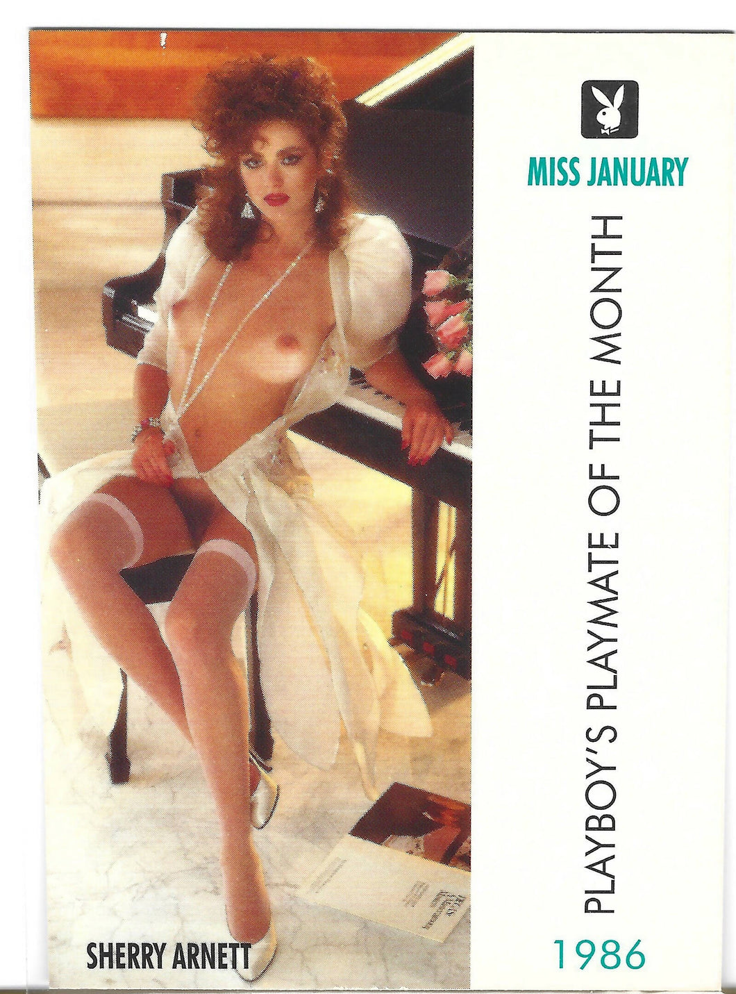 Playboy January Edition Sherry Arnett Card #99