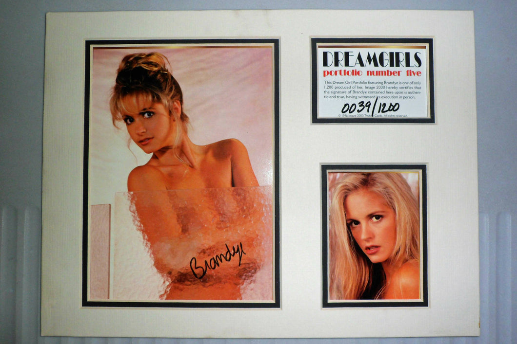 Image 2000 - Dreamgirls Portfolio #5 Brandye [9