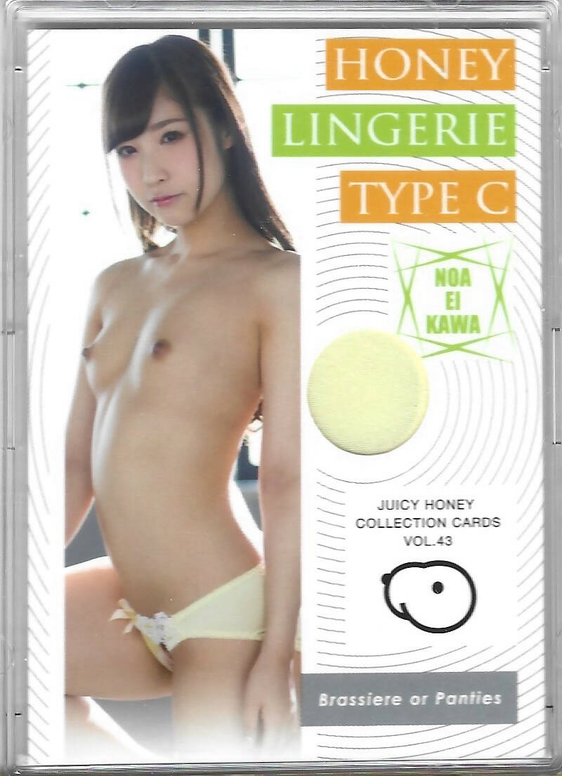 2018 Juicy Honey Vol. 43 Noa Eikawa Honey Lingerie Type C 039/100