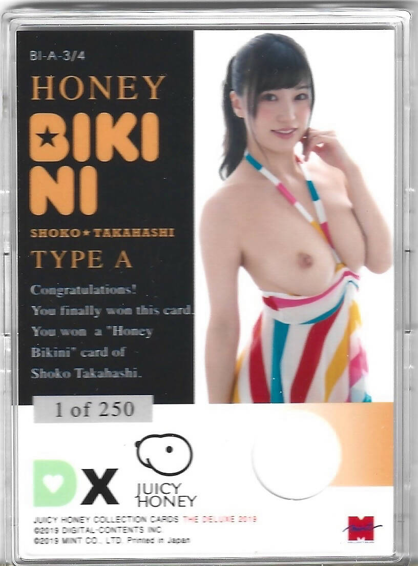 2019 Juicy Honey The Deluxe 2019 Shoko Takahashi Honey Bathing Suit 1 –  Xandebay