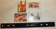 Load image into Gallery viewer, Refrigerator Magnet lot [4]
